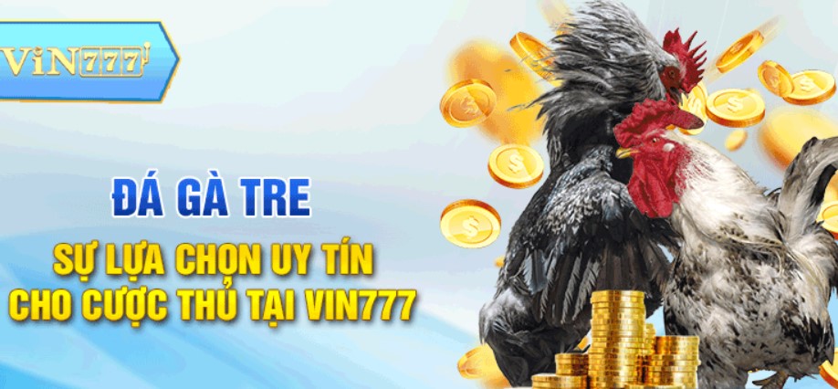 Game Đá Gà Vin777 online là gì